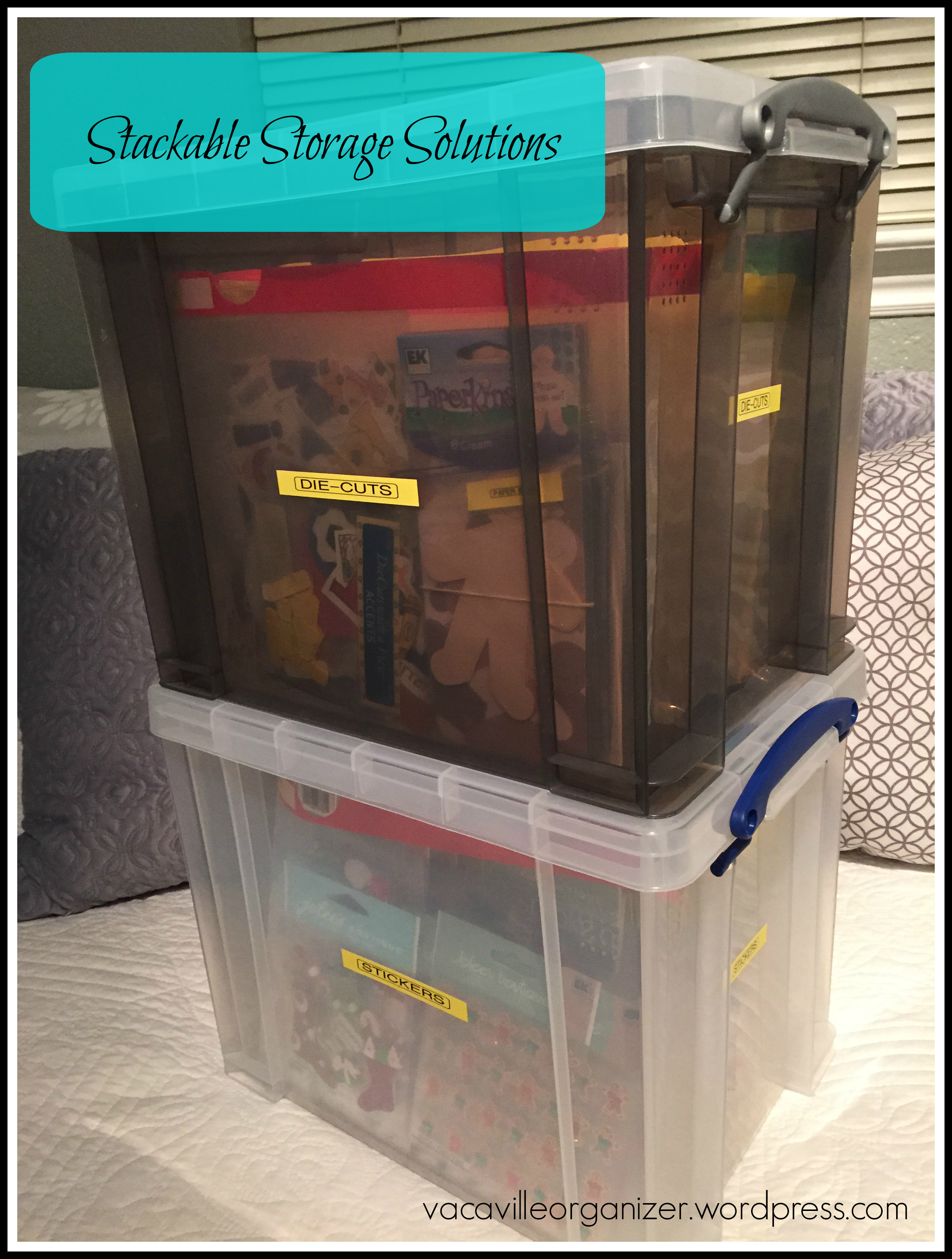 Crafter Organization: Die-cuts and Stickers – Vacaville Organizer